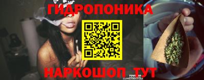 кокс Аргун