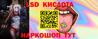 кокс Аргун