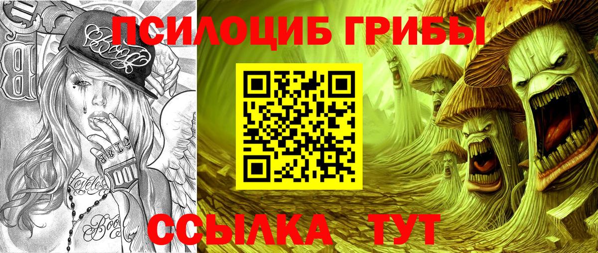 Псилоцибиновые грибы Psilocybe Балахна